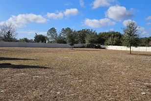 25118 Lambrusco Loop, Lutz, FL 33559 - Photo 23