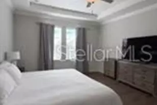 25118 Lambrusco Loop, Lutz, FL 33559 - Photo 13