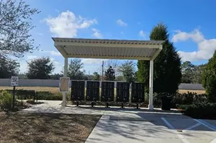 25118 Lambrusco Loop, Lutz, FL 33559 - Photo 25