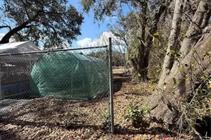 6001 Five Acre Rd, Plant City, FL 33565 - Photo 33