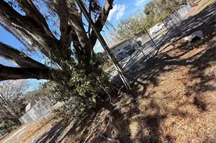 6001 Five Acre Rd, Plant City, FL 33565 - Photo 39