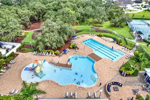 13113 Wildflower Meadow Dr, Riverview, FL 33579 - Photo 73