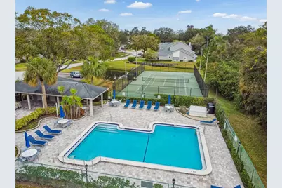 115 Steeplechase Lane, Palm Harbor, FL 34684 - Photo 59