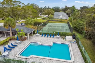 115 Steeplechase Ln, Palm Harbor, FL 34684 - Photo 59