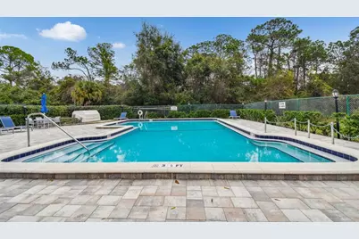 115 Steeplechase Lane, Palm Harbor, FL 34684 - Photo 61