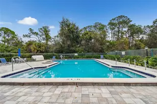 115 Steeplechase Ln, Palm Harbor, FL 34684 - Photo 61