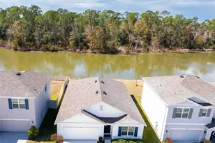 2759 Lotus Flower Trl, Wesley Chapel, FL 33543 - Photo 35