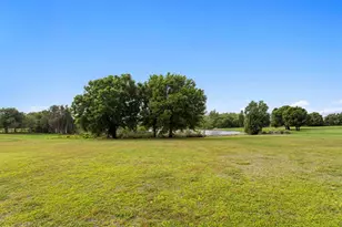 17253 Breeders Cup Dr, Odessa, FL 33556 - Photo 3
