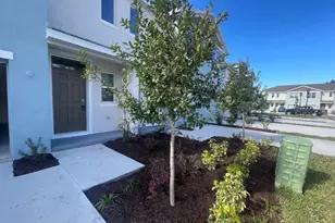 4476 Rachel Fls Dr, Tampa, FL 33610 - Photo 3