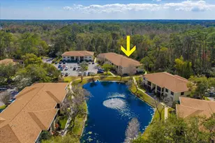 3301 Crystal Ct E, Palm Harbor, FL 34685 - Photo 3