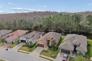 1053 Ketzal Dr, Trinity, FL 34655 - Photo 55