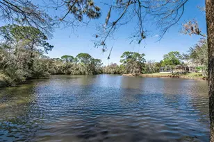 1532 Woodstream Dr, Oldsmar, FL 34677 - Photo 41