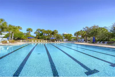 15814 Starling Water Drive, Lithia, FL 33547 - Photo 61