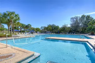 15814 Starling Water Dr, Lithia, FL 33547 - Photo 59