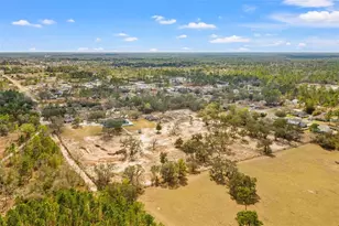 12277 Eskimo Curlew Rd, Weeki Wachee, FL 34614 - Photo 79