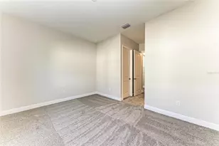 10862 Spring Sapling Cir, Parrish, FL 34219 - Photo 29