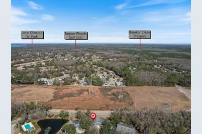 80 Birdsong Court, Oldsmar, FL 34677 - Photo 33