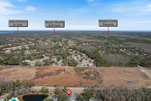 80 Birdsong Ct, Oldsmar, FL 34677 - Photo 33