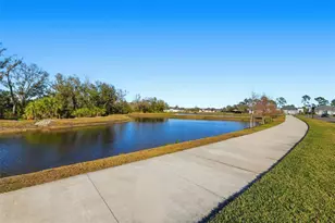 10141 Spruce River Wy, Parrish, FL 34219 - Photo 39