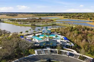 10141 Spruce River Wy, Parrish, FL 34219 - Photo 57