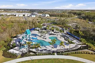 10141 Spruce River Wy, Parrish, FL 34219 - Photo 59