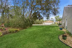 34738 Double Eagle Ct, Zephyrhills, FL 33541 - Photo 25