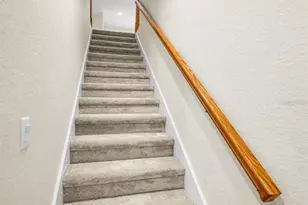 2270 Christy Ln, Oldsmar, FL 34677 - Photo 35