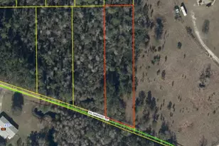 0 SW Wabasso Terrace, Greenville, FL 32331 - Photo 1