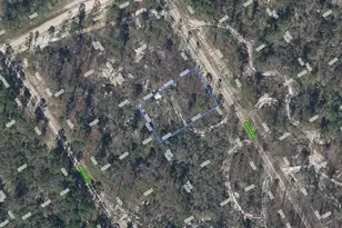 522 Devotion Dr, Lake Placid, FL 33852 - Photo 1