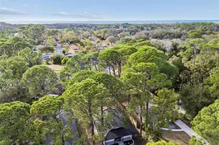 7139 Pinewood Dr, New Port Richey, FL 34652 - Photo 21