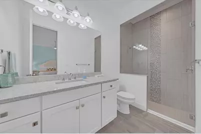 732 Manns Harbor Drive, Apollo Beach, FL 33572 - Photo 37