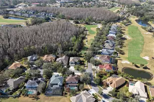 18110 Turtle Beach Way, Tampa, FL 33647 - Photo 49