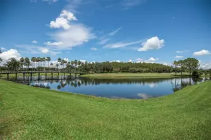 18110 Turtle Beach Way, Tampa, FL 33647 - Photo 69