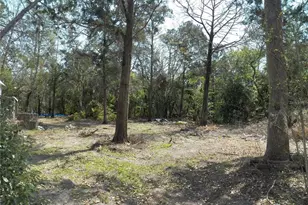 15730 Gifford Ln, Spring Hill, FL 34610 - Photo 1