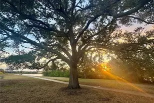 2294 Swedish Dr, Clearwater, FL 33763 - Photo 61