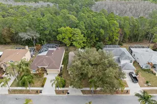 1727 Bayhill Dr, Oldsmar, FL 34677 - Photo 3