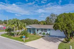 2646 Albion St, Holiday, FL 34691 - Photo 53