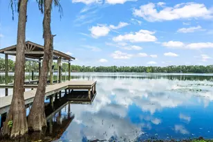 16320 Rock Lake Dr, Odessa, FL 33556 - Photo 95