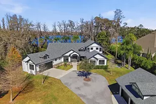 16320 Rock Lake Dr, Odessa, FL 33556 - Photo 17