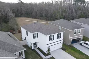 32871 Brooks Hawk Ln, Wesley Chapel, FL 33543 - Photo 35