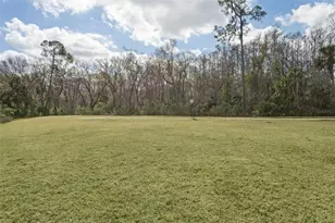 32871 Brooks Hawk Ln, Wesley Chapel, FL 33543 - Photo 39