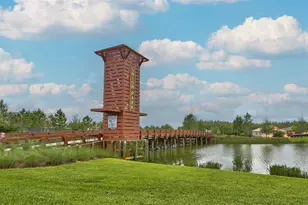 32871 Brooks Hawk Ln, Wesley Chapel, FL 33543 - Photo 49