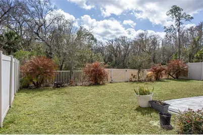 32871 Brooks Hawk Lane, Wesley Chapel, FL 33543 - Photo 33