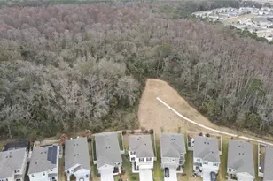 32871 Brooks Hawk Ln, Wesley Chapel, FL 33543 - Photo 45