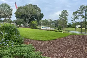 3160 Highlands Blvd, Palm Harbor, FL 34684 - Photo 19
