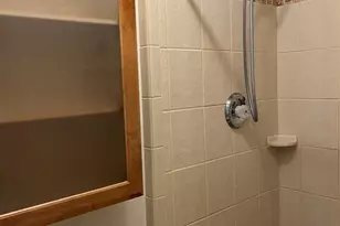 3160 Highlands Blvd, Palm Harbor, FL 34684 - Photo 11