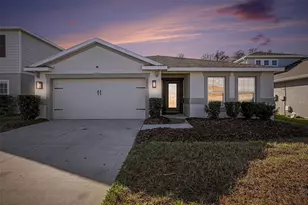 18400 Hunters Meadow Walk, Land O Lakes, FL 34638 - Photo 1