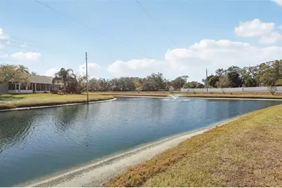28 Brigton Court, Safety Harbor, FL 34695 - Photo 27