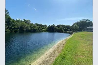 3048 Jodi Lane, Palm Harbor, FL 34684 - Photo 39