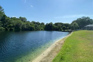 3048 Jodi Ln, Palm Harbor, FL 34684 - Photo 39